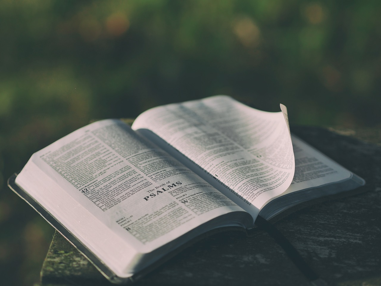 Discover 6 apps to study the Bible and get closer to God