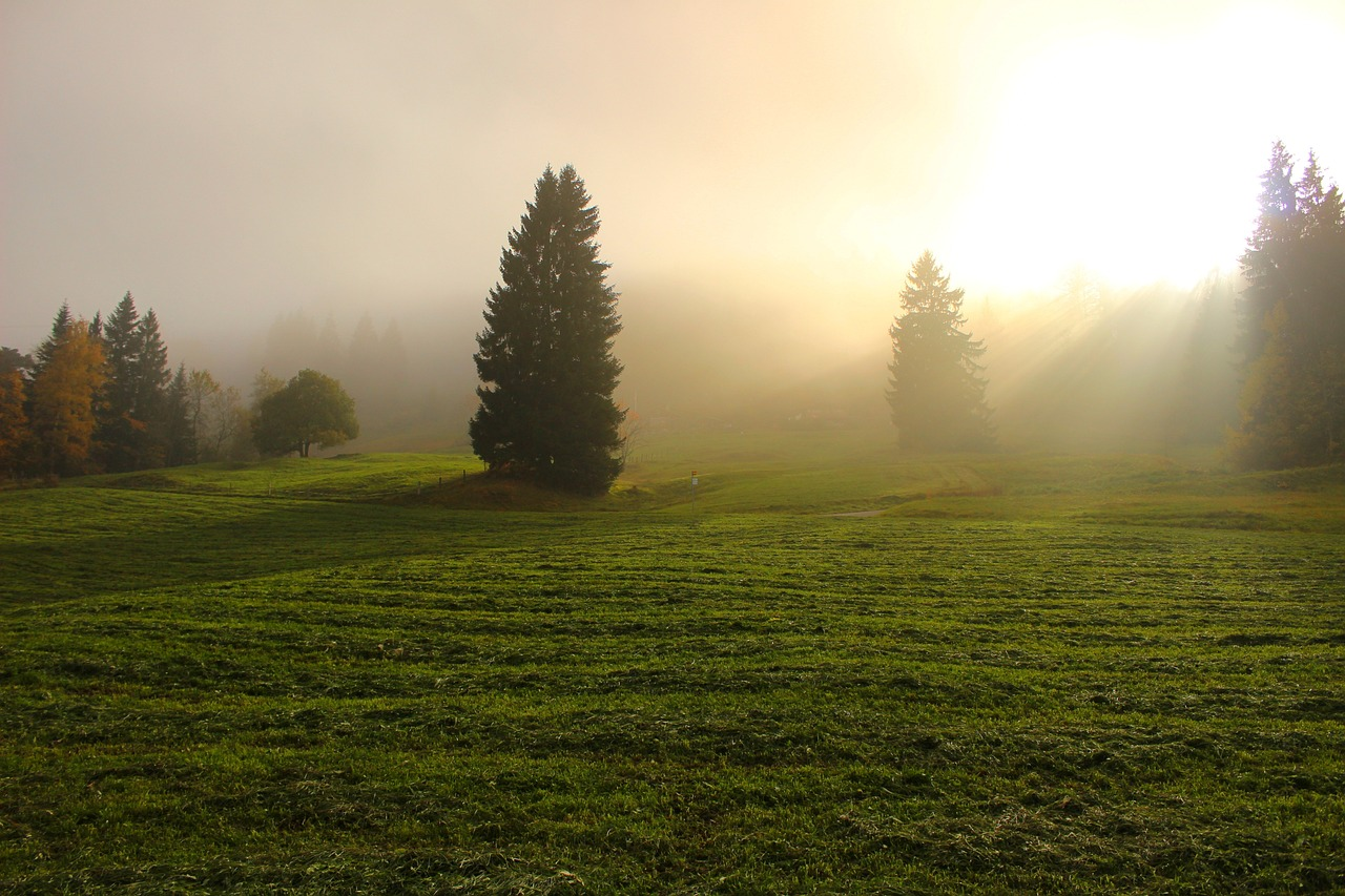 Drawing Closer to God: Practical Steps to Strengthen Your Spiritual Relationship